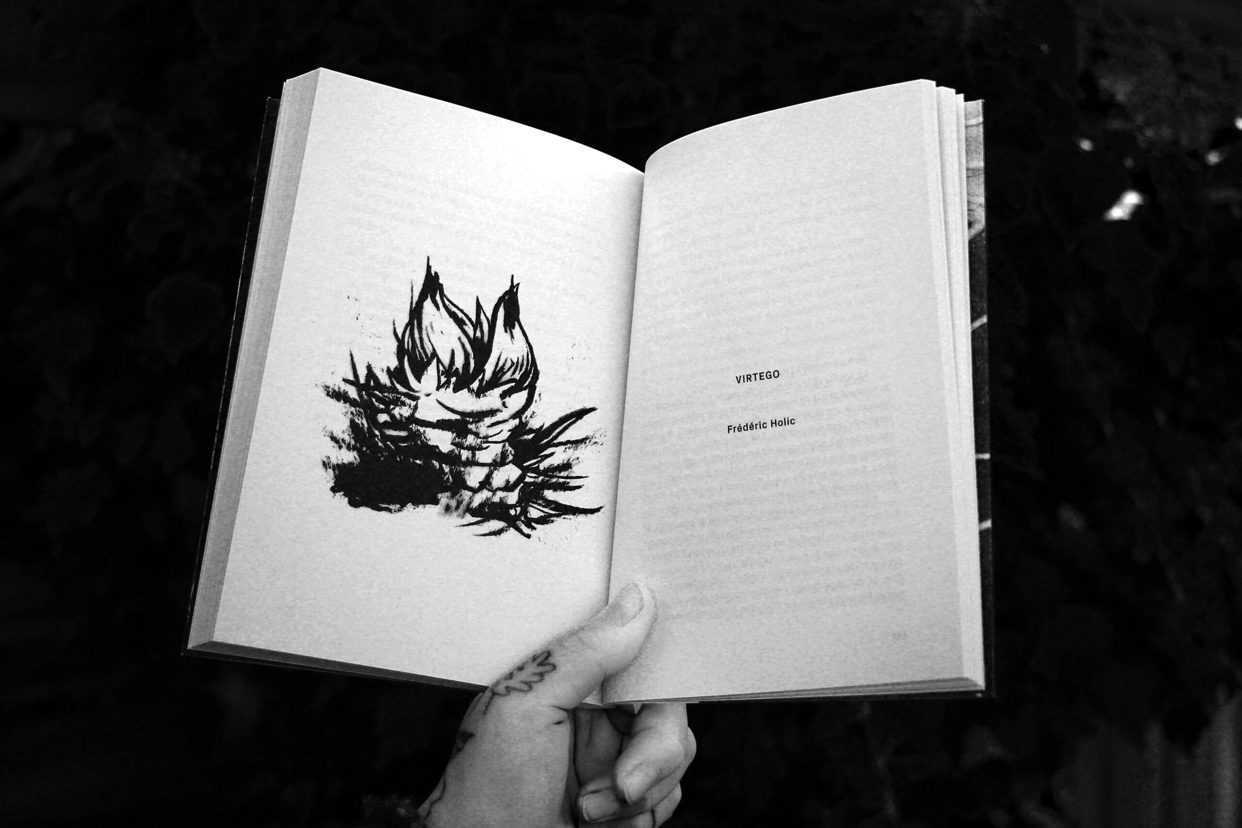 Hélice Hélas Editions