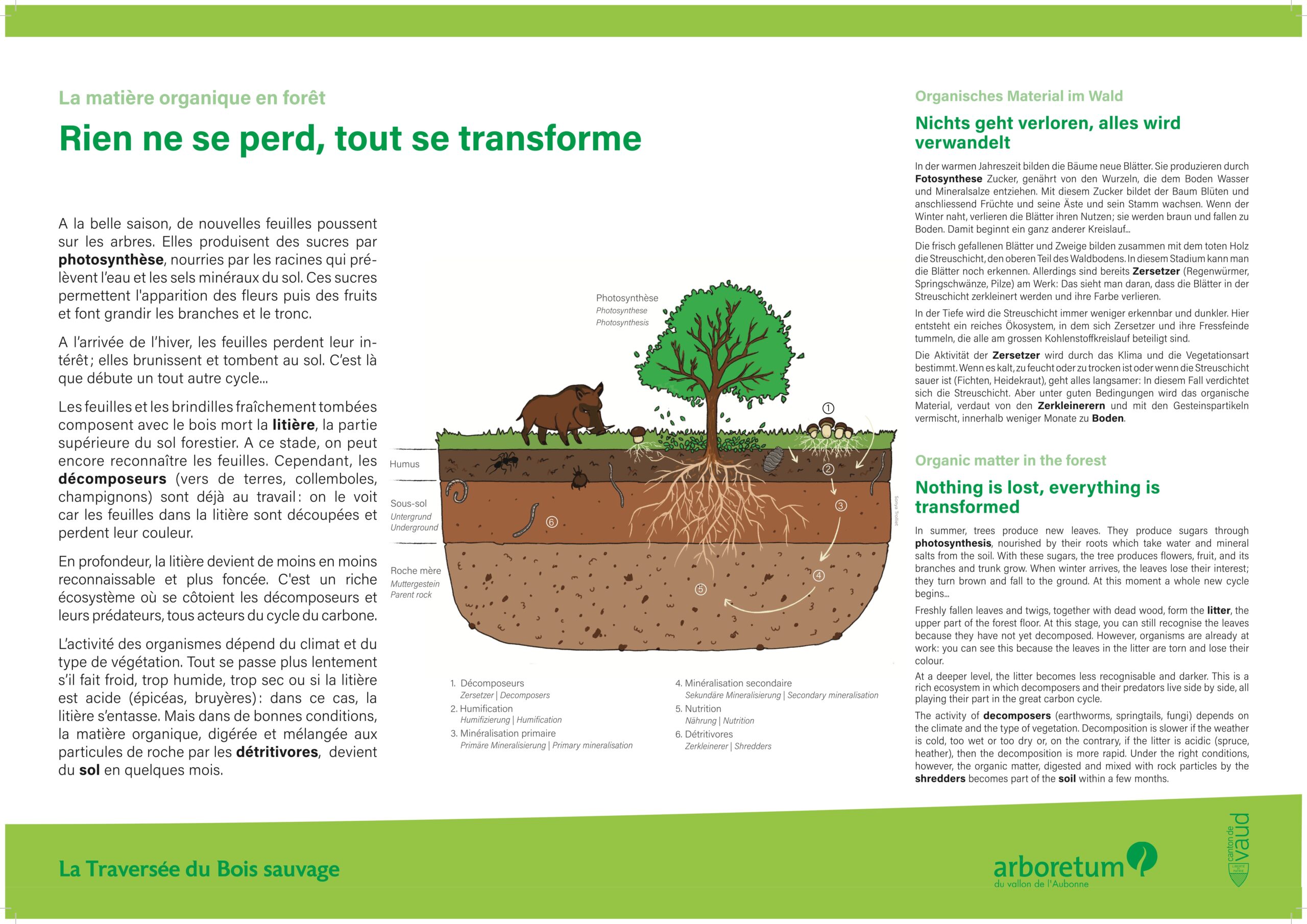 Arboretum Aubonne – Bureau Relief